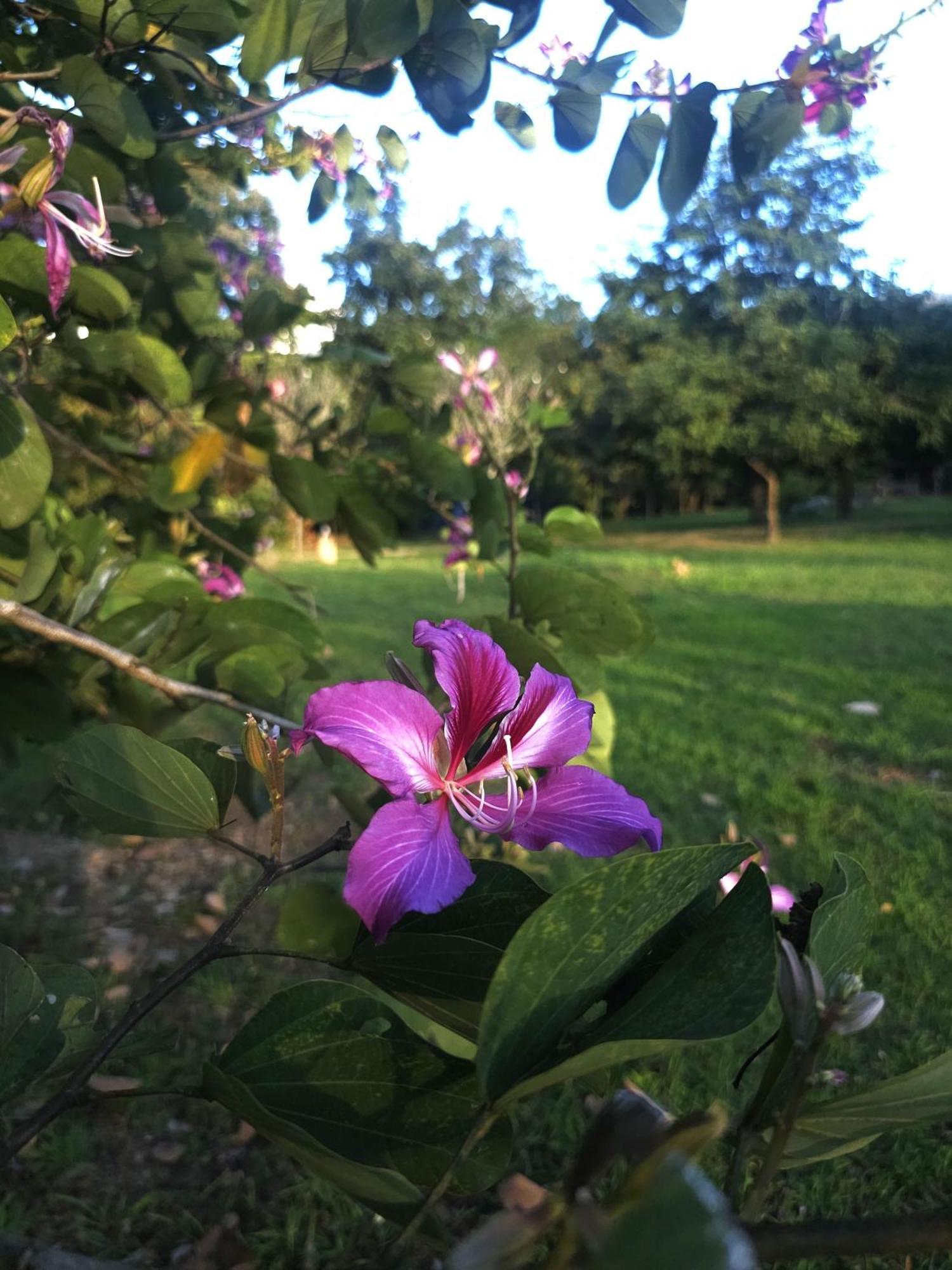 Pai Kiniman Resort Zewnętrze zdjęcie
